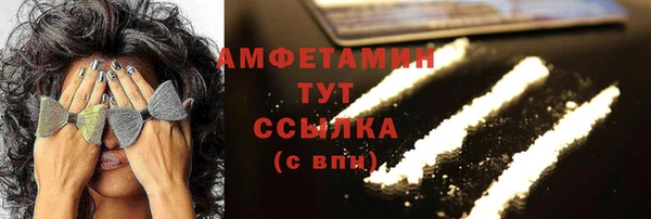 метадон Богданович