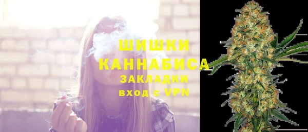 метадон Богданович