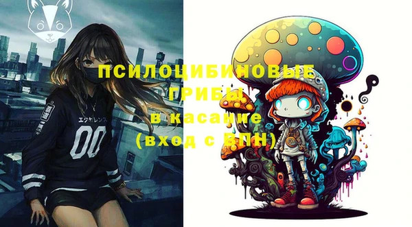 метадон Богданович