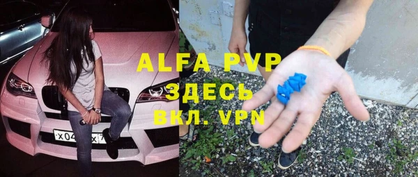 метадон Богданович