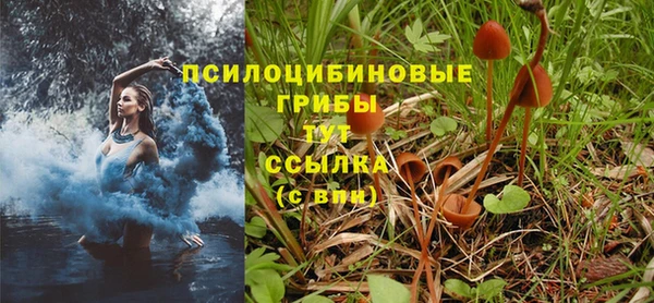 метадон Богданович
