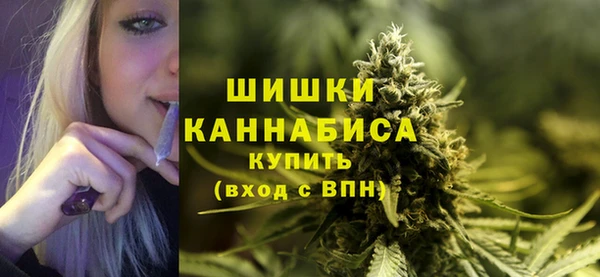 прущий лед Богородск