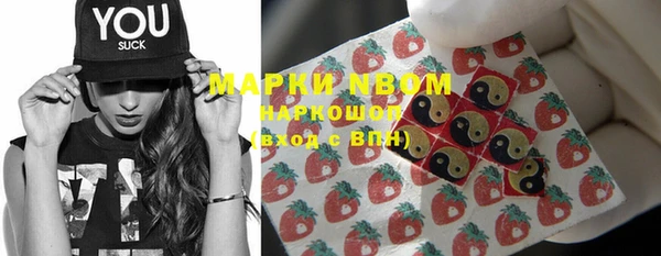 метадон Богданович