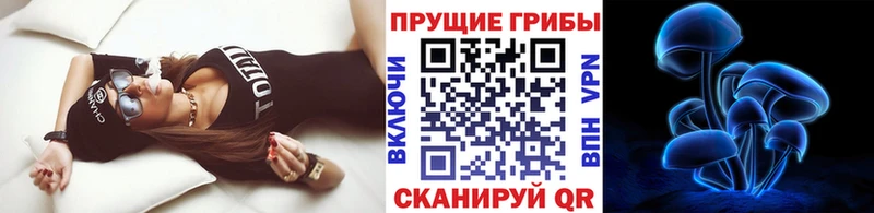цена наркотик Прокопьевск Псилоцибиновые грибы мухоморы